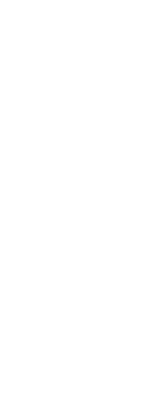hero-10-shape-2